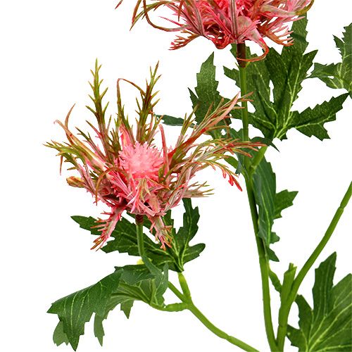Floristik24 Rama de cardo rosa, verde L67cm 4 piezas