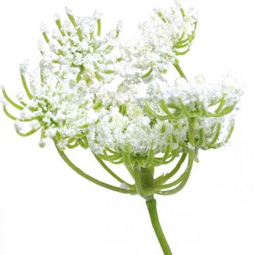 Floristik24 Eneldo en flor, planta artificial, hierbas artificiales verde, blanco L80cm