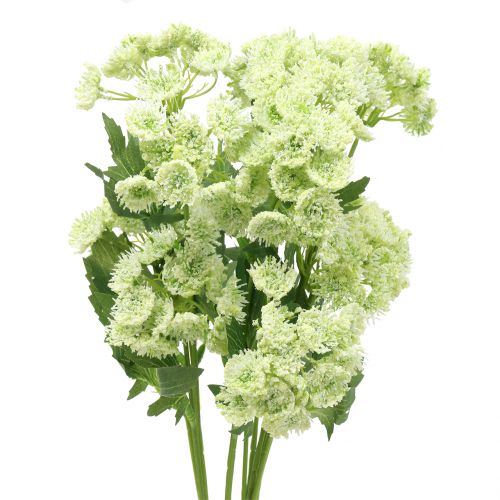 Floristik24 Eneldo artificial blanco 49cm 6pcs