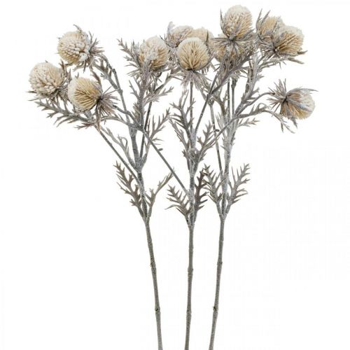 Floristik24 Rama de cardo rama decorativa helada artificialmente invierno 55cm 3ud