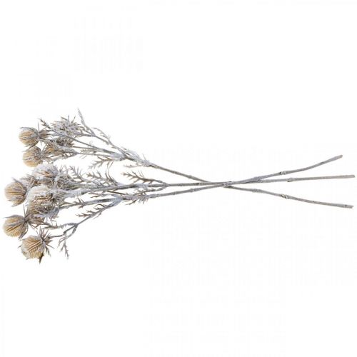 Floristik24 Rama de cardo rama decorativa helada artificialmente invierno 55cm 3ud