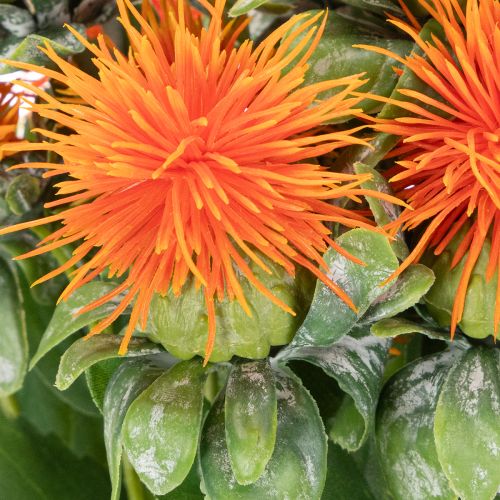 Cártamo artificial naranja como flor artificial para jarrones y decoración, 55 cm, 4 piezas | Floristik24.es