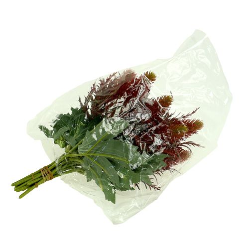 Floristik24 Cardo rojo-verde 20cm 12pcs