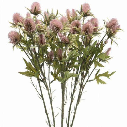 Artículo Cardo Tallo Artificial Flor Rosa 10 Cabezas De Flores 68cm 3 Piezas