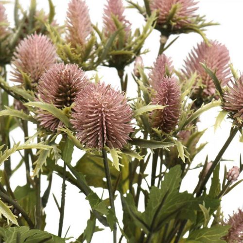 Floristik24 Cardo Tallo Artificial Flor Rosa 10 Cabezas De Flores 68cm 3 Piezas