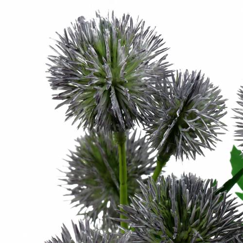 Floristik24 Flor de seda cardo azul 56cm 3pcs