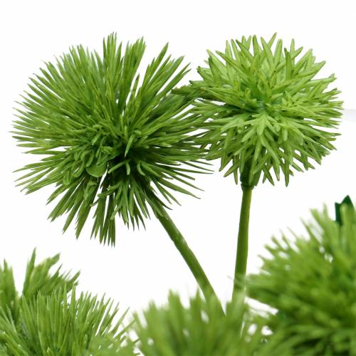 Floristik24 Flor de seda de cardo verde 56cm 3pcs