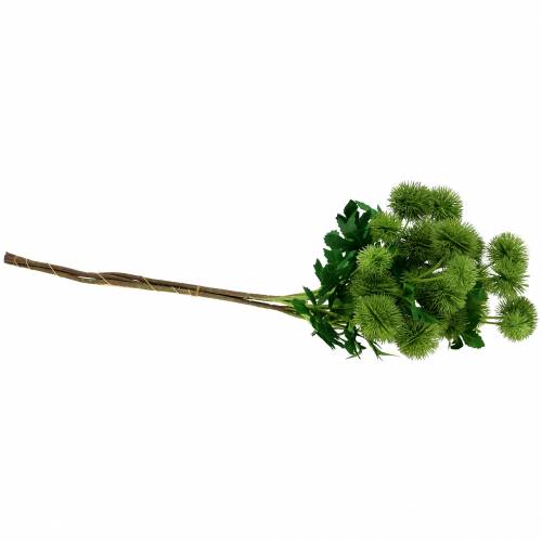 Floristik24 Flor de seda de cardo verde 56cm 3pcs