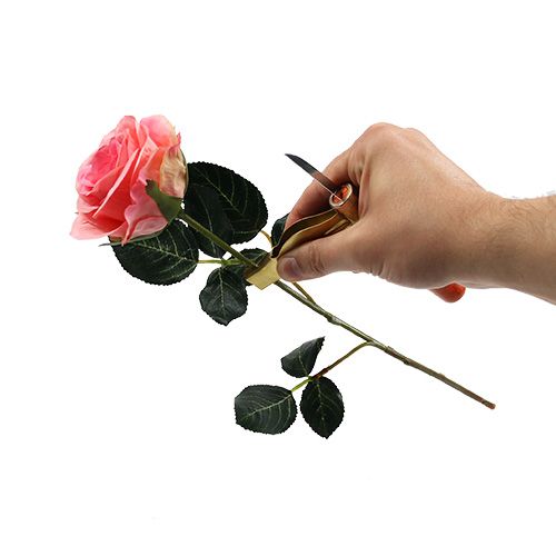 Artículo Removedor de espinas de rosas con cuchillo