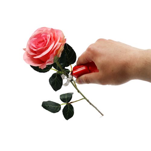 Floristik24 Desthorner rosa
