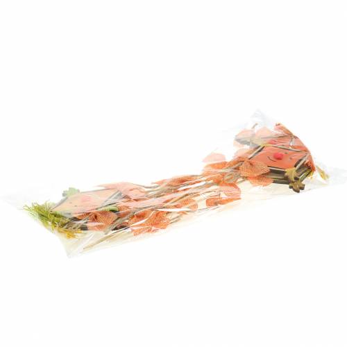 Floristik24 Tapón decorativo dragón 39,5cm 6uds