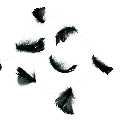 Floristik24 Alambre con resorte negro 10m