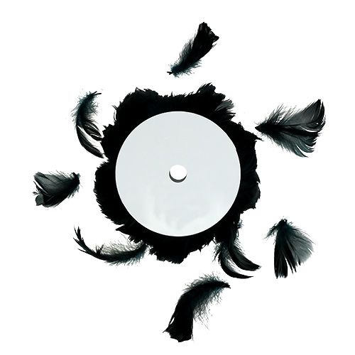 Floristik24 Alambre con resorte negro 10m