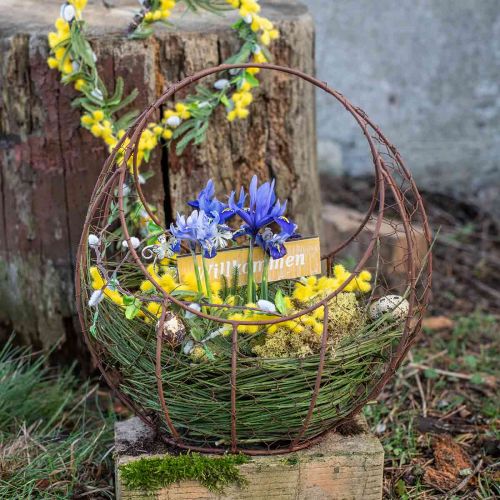 Artículo Cesta de alambre, jardinera de metal, decoración primaveral, cesta de Pascua marrón, pátina AL34cm L30cm