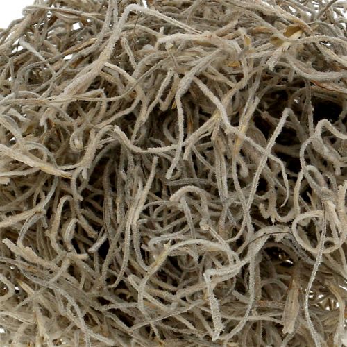 Floristik24 Musgo de la selva natural 250g