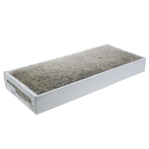 Floristik24 Musgo de la selva natural 250g