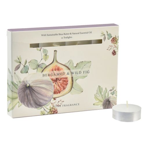 Floristik24 Velas perfumadas Bergamota Wild Fig velas de té Ø3,5cm 12ud