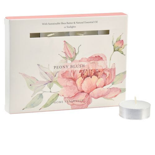 Floristik24 Velas perfumadas velas de té peonía rosa peonía rubor Ø3,5cm 12 piezas