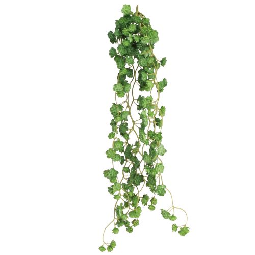 Floristik24 Plantas colgantes artificiales Echeveria en verde (12 cm de ancho y 50 cm de largo)