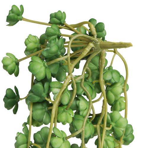 Artículo Plantas colgantes artificiales Echeveria en verde (12 cm de ancho y 50 cm de largo)