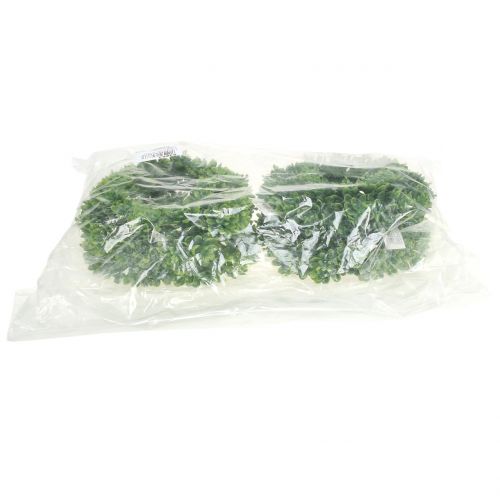Floristik24 Echeveria corona verde Ø18cm 4pcs