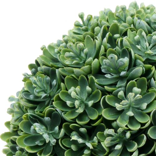 Floristik24 Bola Echeveria artificial verde Ø18cm