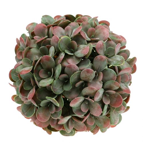 Floristik24 Bola Echeveria artificial verde, rojo Ø22cm