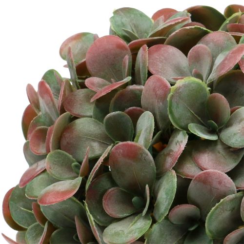 Floristik24 Bola Echeveria artificial verde, rojo Ø22cm