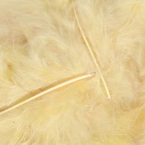 Artículo Plumas reales para manualidades en amarillo claro 5cm - 10cm 20g
