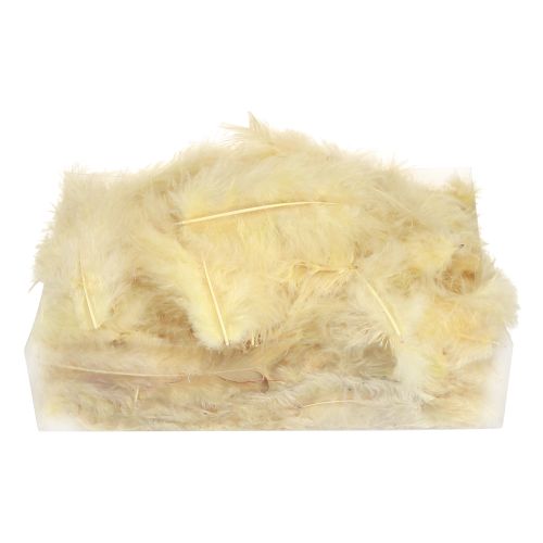 Artículo Plumas reales para manualidades en amarillo claro 5cm - 10cm 20g
