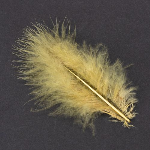 Artículo Plumas reales para manualidades en amarillo claro, 5 cm – 10 cm, 20 g