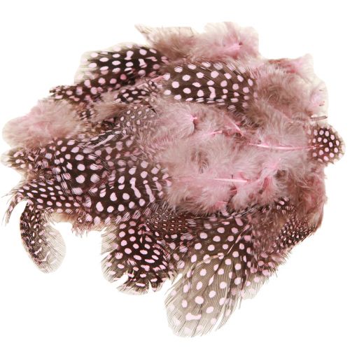 Artículo Plumas reales de gallina de Guinea rosa con lunares 4-12cm 100 piezas