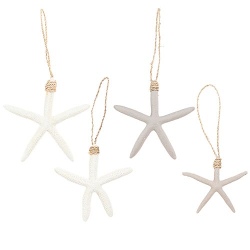 Percha marítima con decoración de estrella de mar real gris blanco 10-14cm 4ud