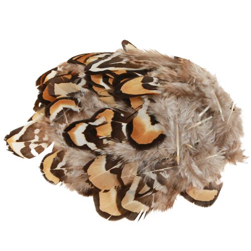 Floristik24 Plumas de pájaro reales plumas decorativas a rayas 3-4cm 60 piezas