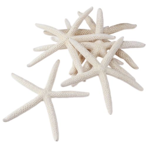 Artículo Estrella de mar auténtica decoración natural marítima Ø16–20cm 10 uds