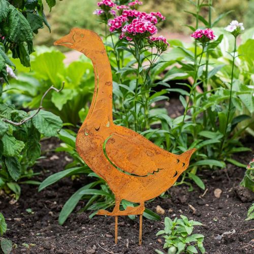 Floristik24 Estaca de jardín con pátina de ganso retro Al. 42,5 cm