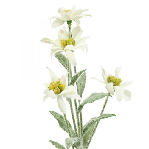 Floristik24 Edelweiss flor artificial blanca flocada 38cm
