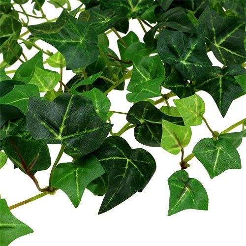 Floristik24 Zarcillo de hiedra verde 70cm