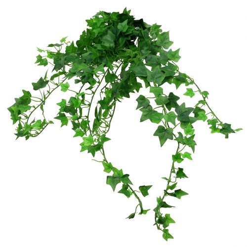 Floristik24 Percha Ivy verde 60cm