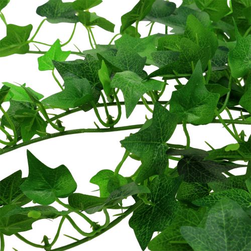 Floristik24 Percha Ivy verde 60cm
