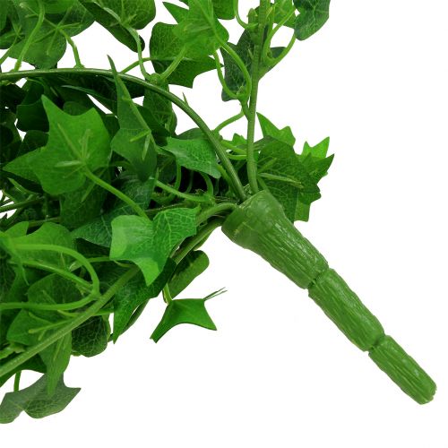 Floristik24 Percha Ivy verde 60cm
