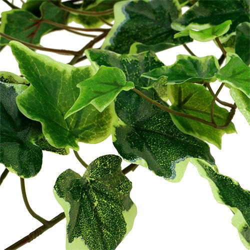 Floristik24 Percha Ivy 80cm blanco-verde