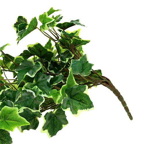 Floristik24 Percha Ivy 80cm blanco-verde