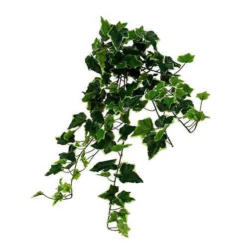 Floristik24 Percha Ivy blanco-verde 70cm