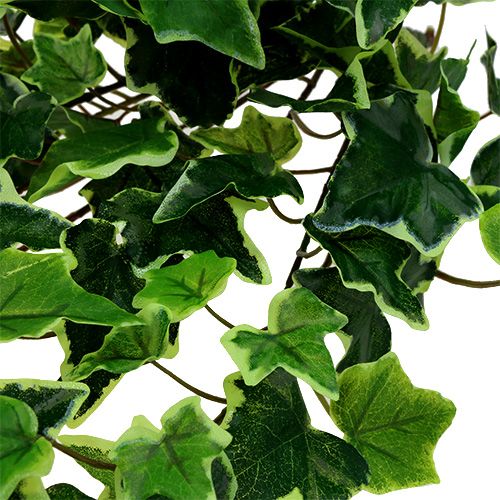 Floristik24 Percha Ivy blanco-verde 70cm