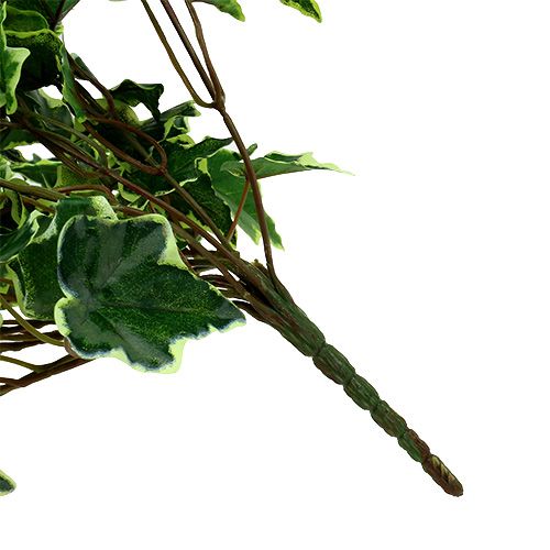 Floristik24 Percha Ivy blanco-verde 70cm