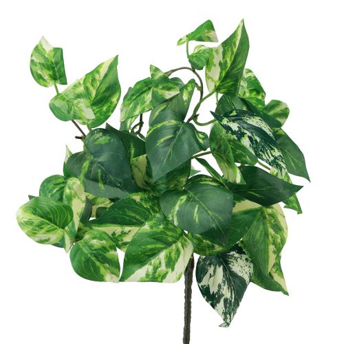 Floristik24 Planta de hiedra Pothos hiedra zarcillo dorado artificial 50cm