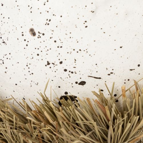 Artículo Cuenco nido de Pascua en forma de huevo para decoración primaveral 11cm 4 piezas