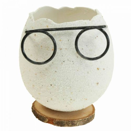 Floristik24 Huevo con vasos jarrón decorativo blanco decoración de Pascua Ø7,5cm H9cm 6 piezas