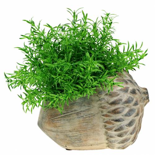 Floristik24 Jardinera de hormigón bellota 21.5cm × 14cm H9.5cm